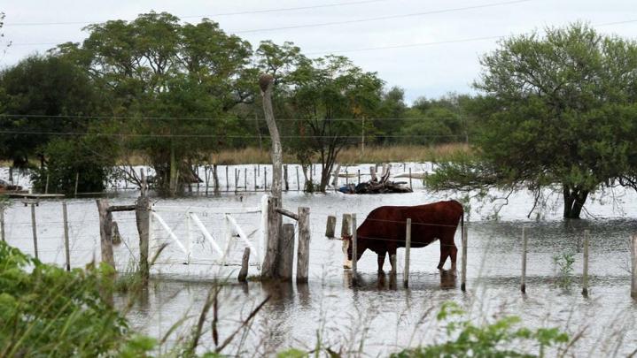 Las mayores lluvias se dieron en Rufino (88 milímetros), María Teresa (44mm), Irigoyen (40 mm), Clason (38 mm) y Rosario (36,2 mm).