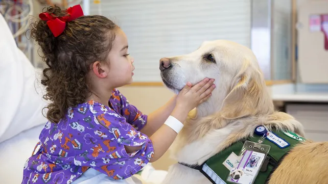 Permiten que niños estén con sus mascotas durante la internación