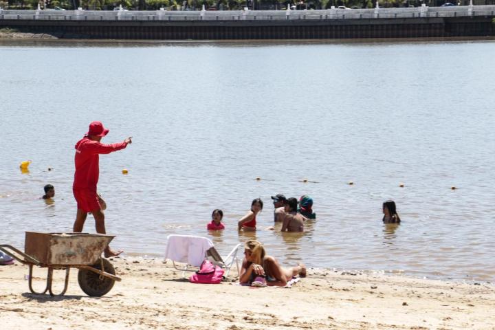 Calor extremo: consejos para prevenir ataques de palometas 