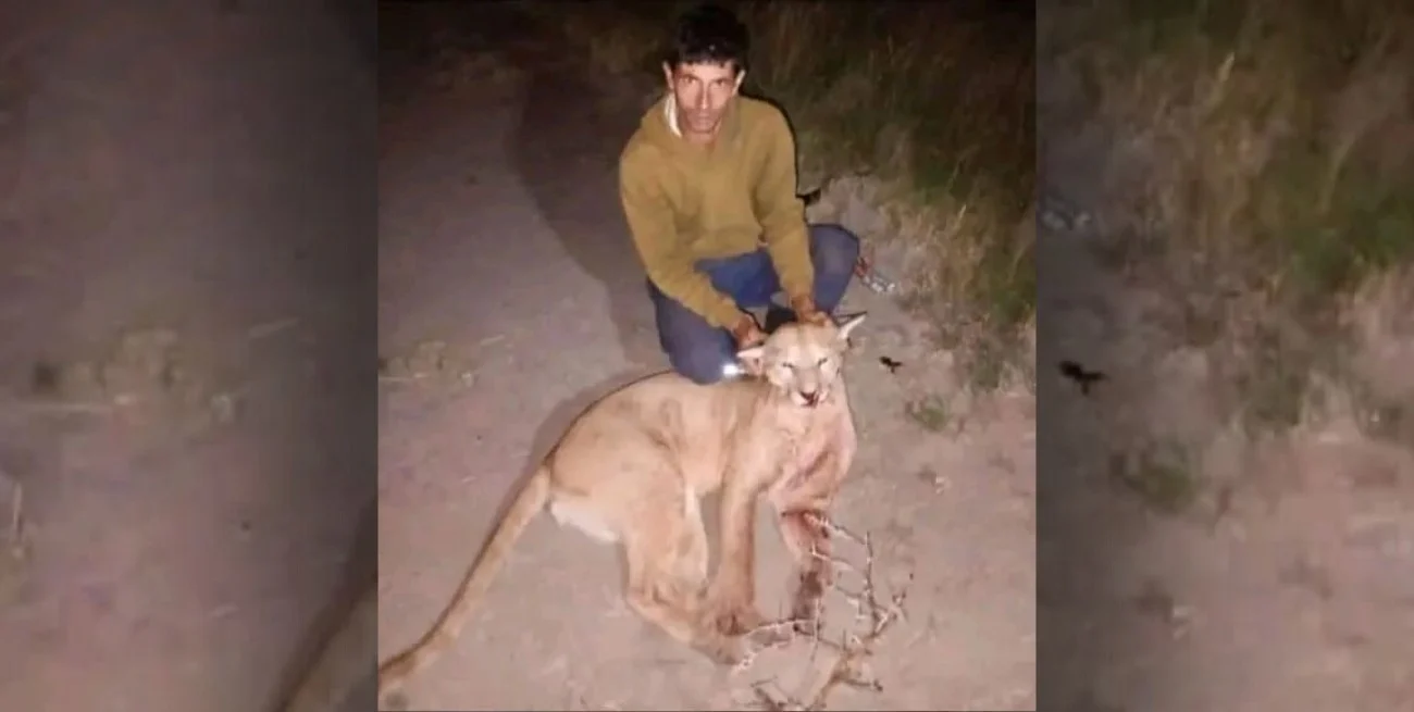 Cazó un puma y lo exhibió en sus redes sociales