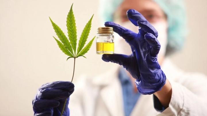 La Anmat prohibió dos marcas de aceite de cannabis