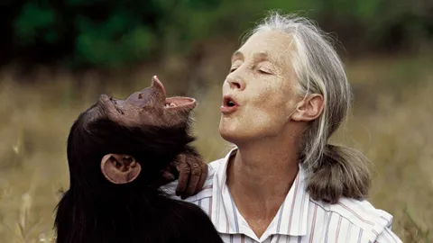 Muere la primatóloga británica Jane Goodall