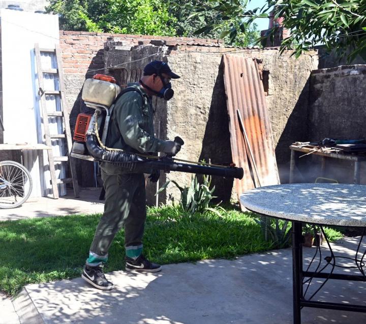 Dengue en Santa Fe: 13 barrios con la presencia del vector
