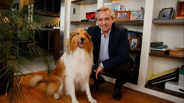 Murió Dylan, el perro del expresidente Alberto Fernández