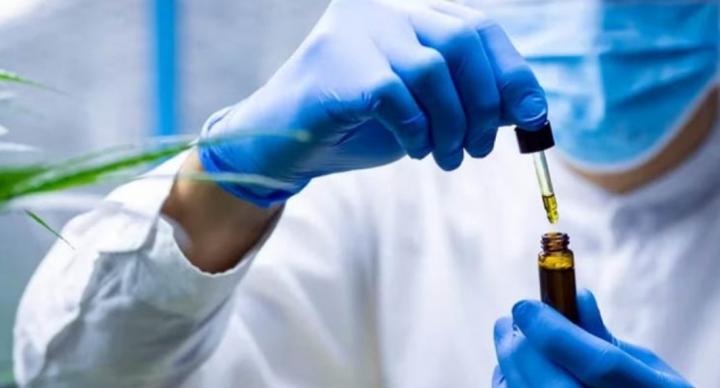 Un estudio argentino revela la eficacia del cannabidiol en niños con epilepsia