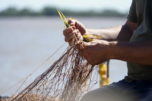 Santa Fe y Entre Ríos coordinan la regulación de la pesca en el Paraná