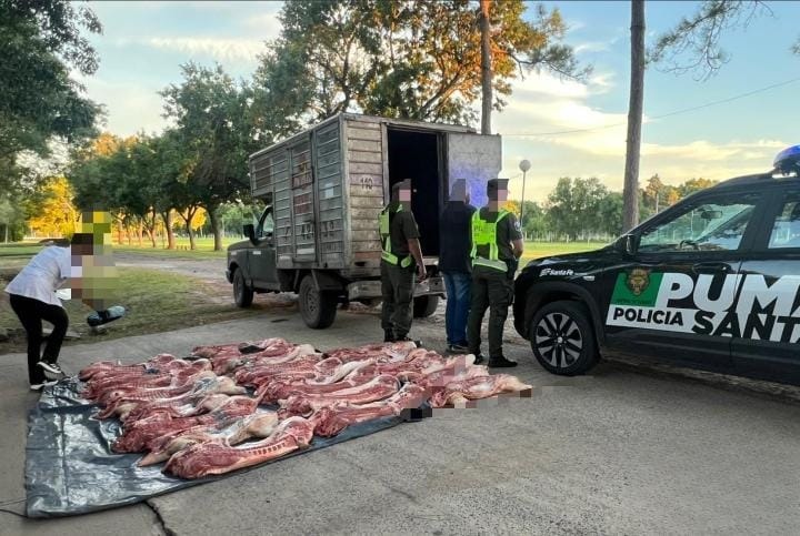 Decomisan 1 tonelada de carne y pescado no apta para consumo