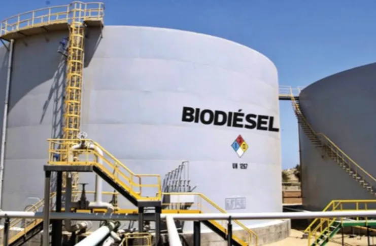 Biodiésel: dejarían de ingresar USD 400 millones al país