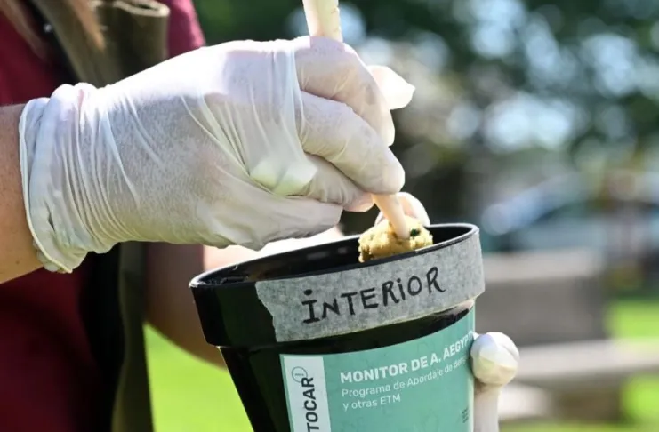 Dengue: detectan presencia del mosquito en 36 barrios 