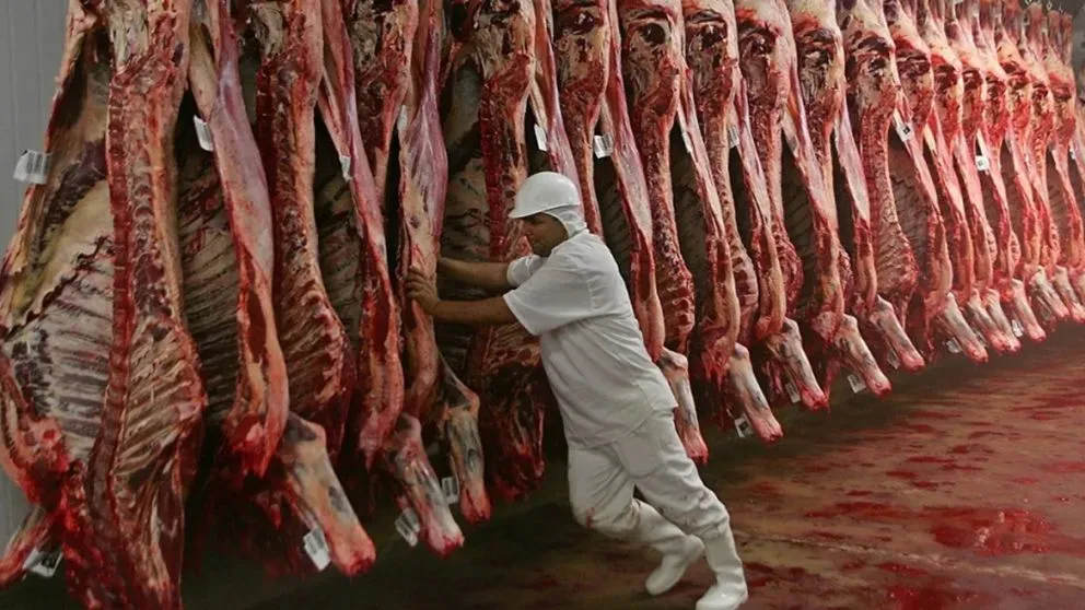 Córdoba en crisis: cerró un famoso frigorífico y 50 trabajadores en la calle