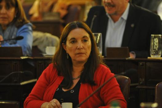 Verónica Benas, diputada provincial FPCyS.