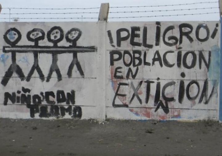 Detectan a niños intoxicados con plomo en Ceres