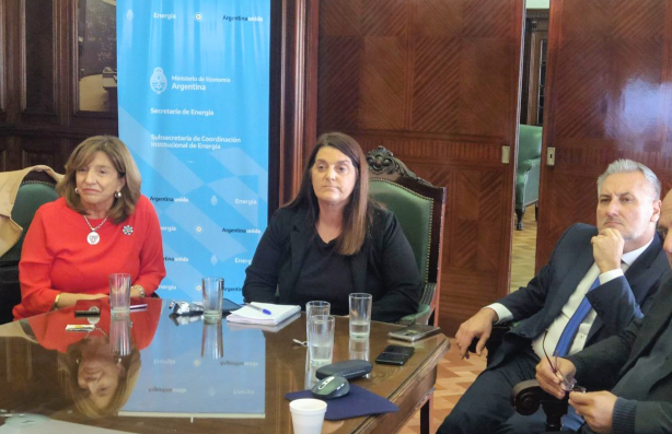 Lewandowski y Silvina Frana (primera de la izquierda), junto a jefes comunales, se reunieron con funcionarios de Energia de la Nación.