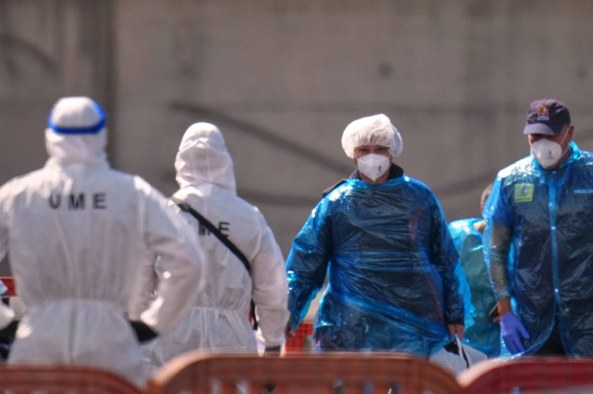 Expertos piden revisar protocolos de la OMS tras el brote de hantavirus