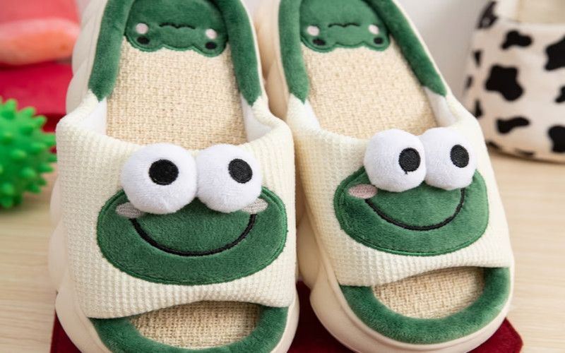 Robó un par de pantuflas del «Sapo Pepe“: a prisión durante 8 meses 