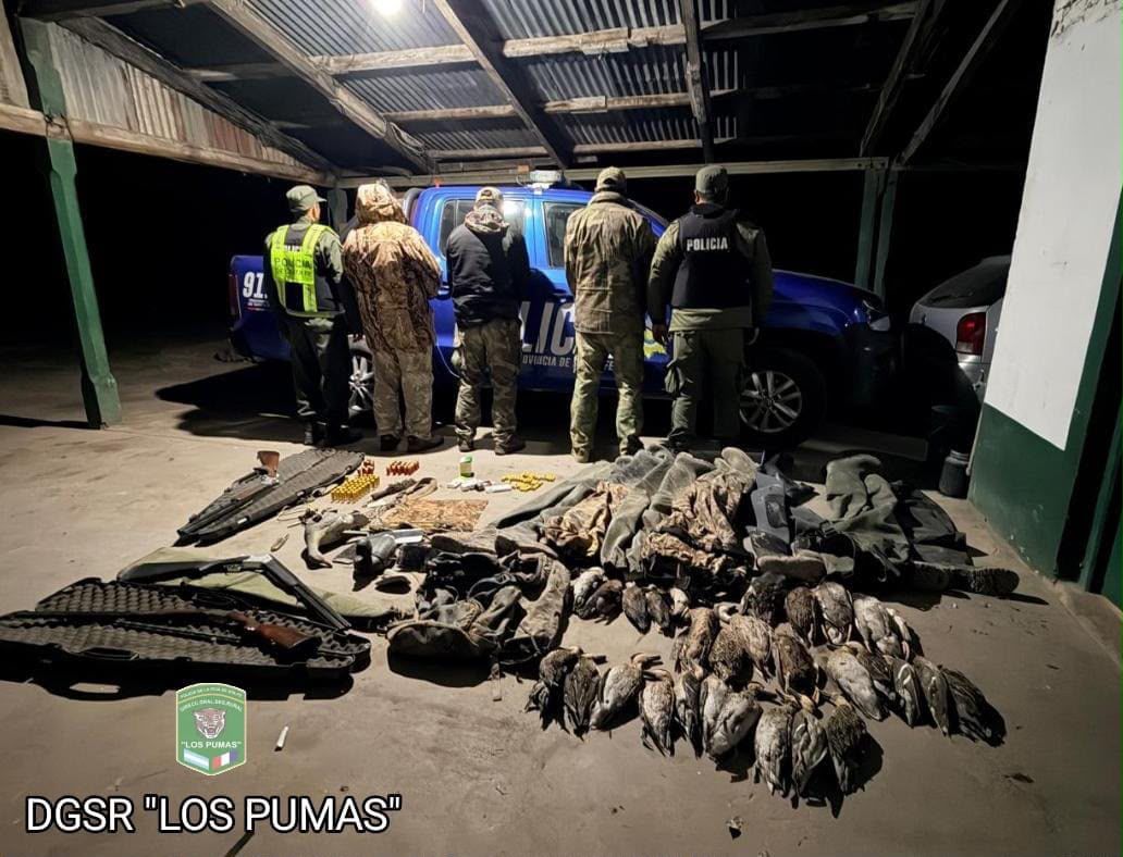 Caza y pesca ilegal: secuestran mallas, vehículos, armas y toneladas de pescado