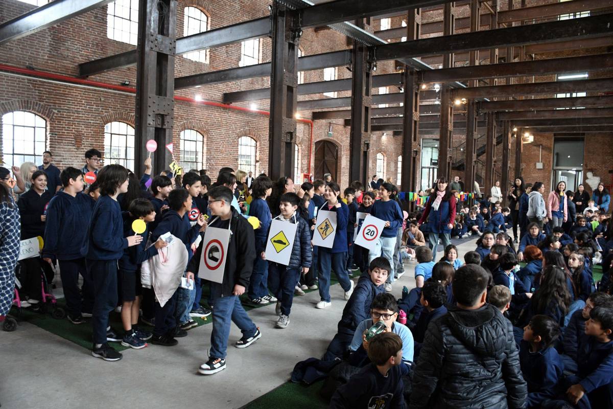 Consejo de las Infancias: cuáles son las propuestas de alumnos para Santa Fe