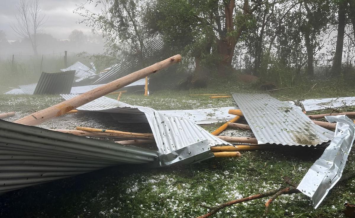 El granizo destrozó una granja en Santa Fe